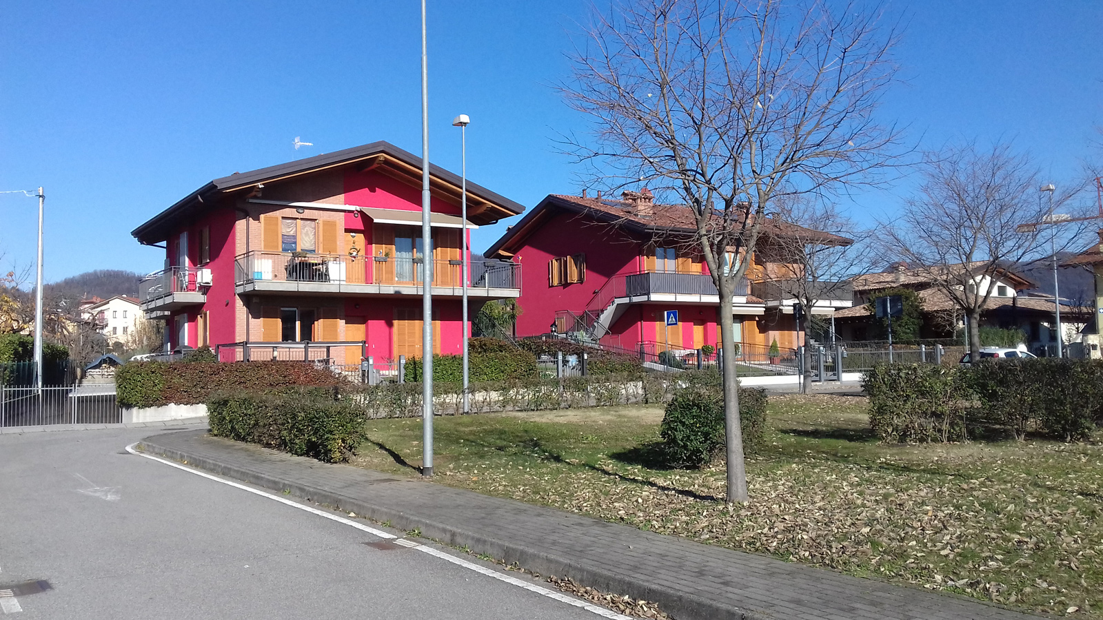 Immagine 3