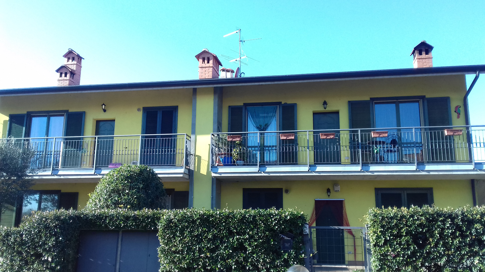 Immagine 2
